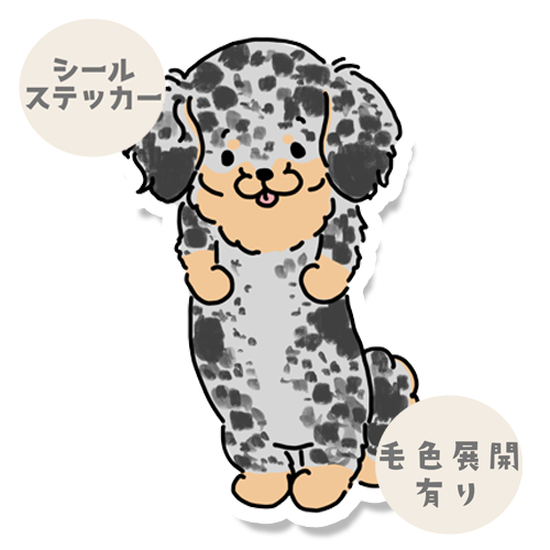 ぽやぽやチワックスちゃん。60-7