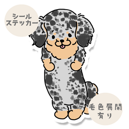 ぽやぽやチワックスちゃん。60-7