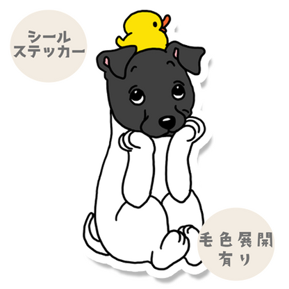 タイクツなニホンテリアちゃん。71-7