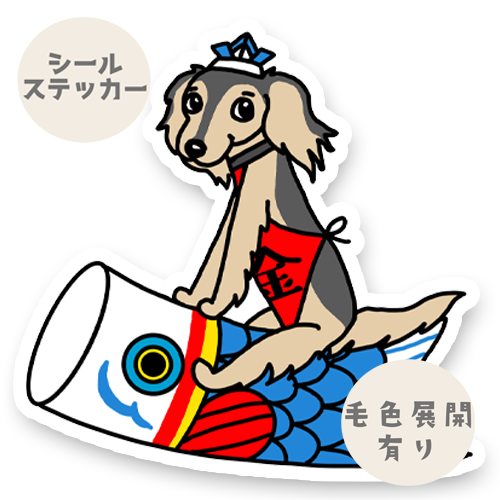 端午の節句のサルーキさん。34-14