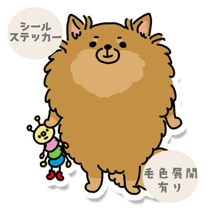 おでかけを期待してるポメチワちゃん。102-7