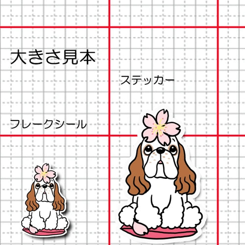 アメコカちゃんの春のご挨拶。5-16