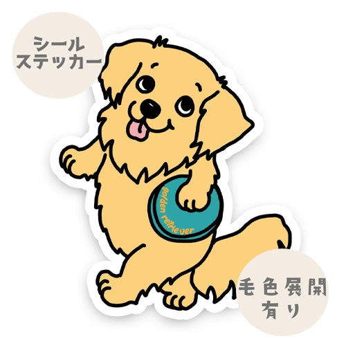 フリスビーで遊ぶゴールデンちゃん。32-5
