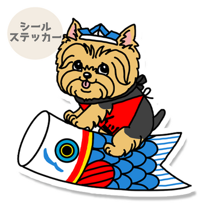 端午の節句のヨーキーちゃん。114-31