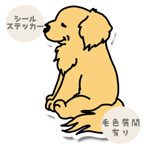 おりこうさんで待ってるゴールデンちゃん。32-10