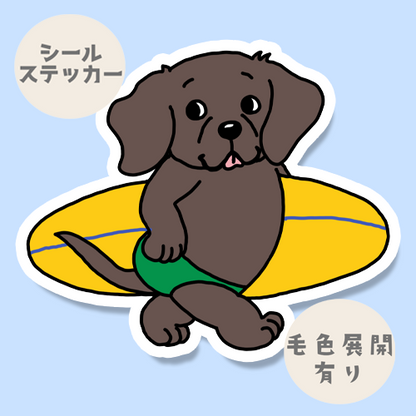 サーファーラブラドールちゃん。117-13