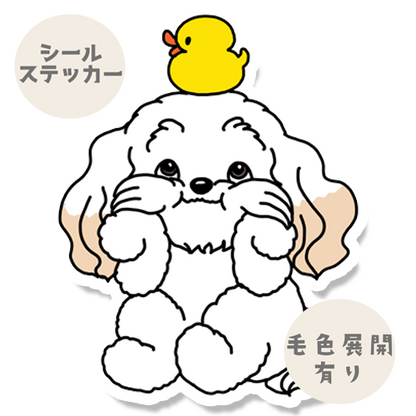 タイクツマルプーちゃん。111-5