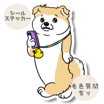 お散歩ペキシバちゃん。186-1