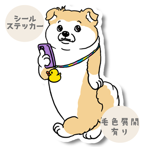 お散歩ペキシバちゃん。186-1