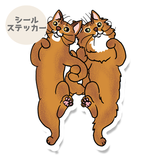 なかよしアビシニアンちゃんとソマリちゃん。164-1,163-1
