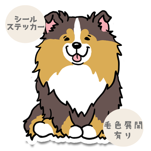 おすわりしてるシェルティちゃん。38-9