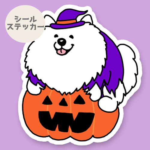 オバケカボチャとサモエドさん。33-8