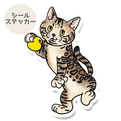 遊んでほしいベンガルちゃん。149-10