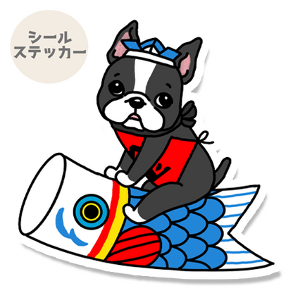 端午の節句のボステリちゃん。101-25