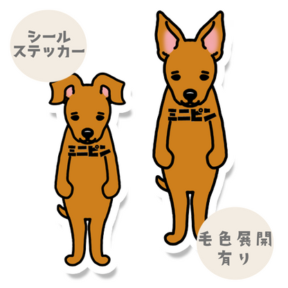 ミニピン。113-14