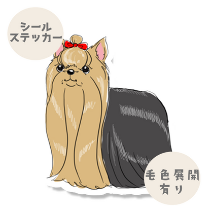 おめかしヨーキーちゃん。114-2
