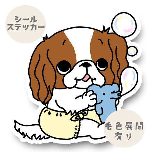 シャボン玉で遊ぶキャバリアちゃん。26-6