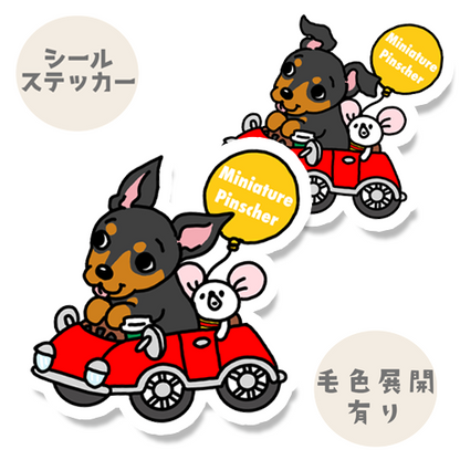 ミニピンちゃんの楽しいドライブ。113-5