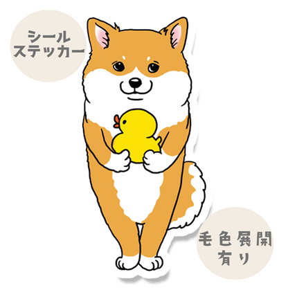 お気に入りのアヒルちゃんとポメシバちゃん。222-1