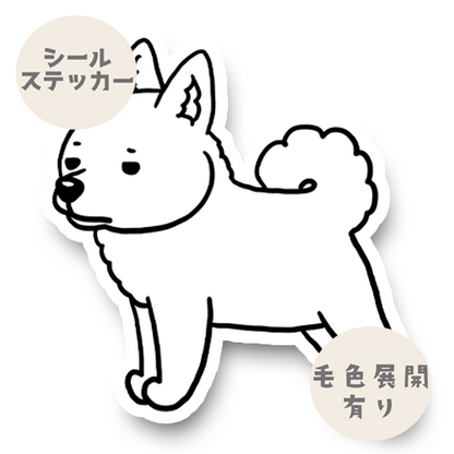 見張ってる紀州犬さん。25-8