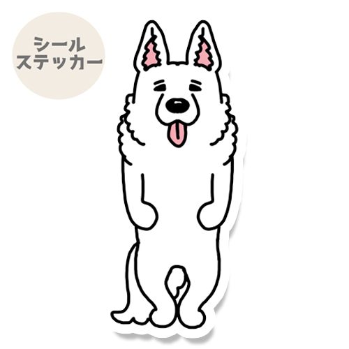たたずむホワイトシェパードさん。37-4