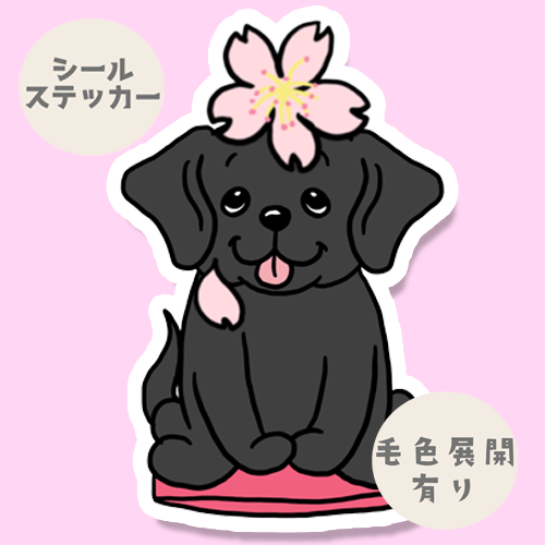 ラブラドールちゃんの春のご挨拶。117-19