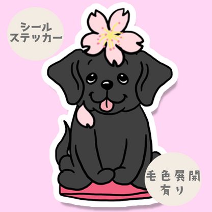 ラブラドールちゃんの春のご挨拶。117-19
