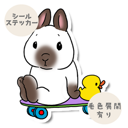 遊べるの待ってるネザーランドドワーフちゃん。185-1