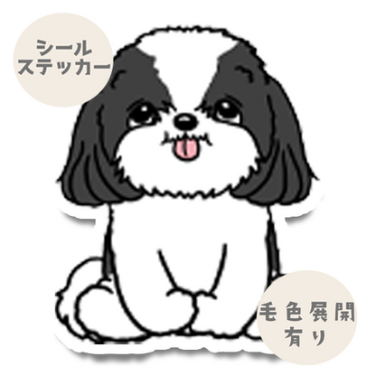 おすわりシーズーちゃん。35-7
