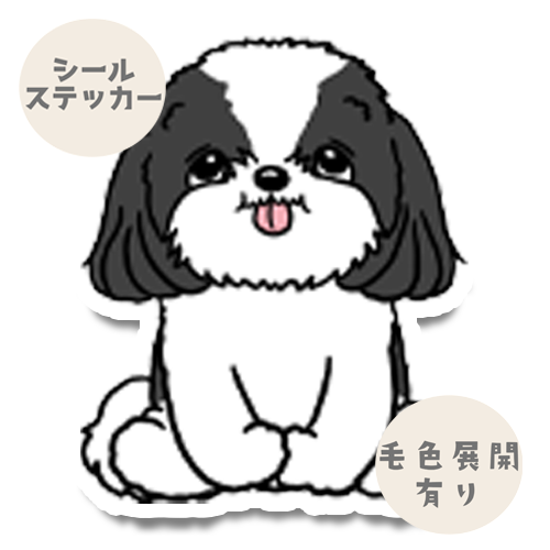 おすわりシーズーちゃん。35-7