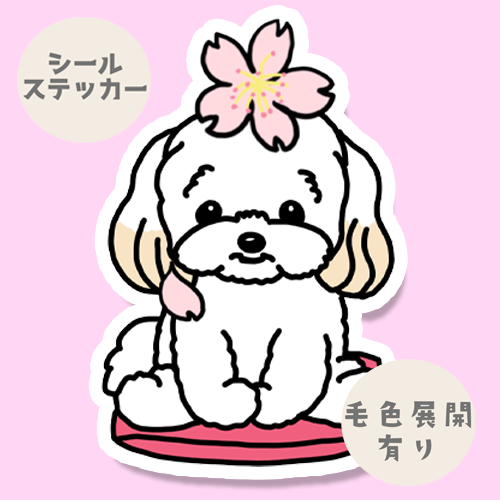 マルプーちゃんの春のご挨拶。111-16