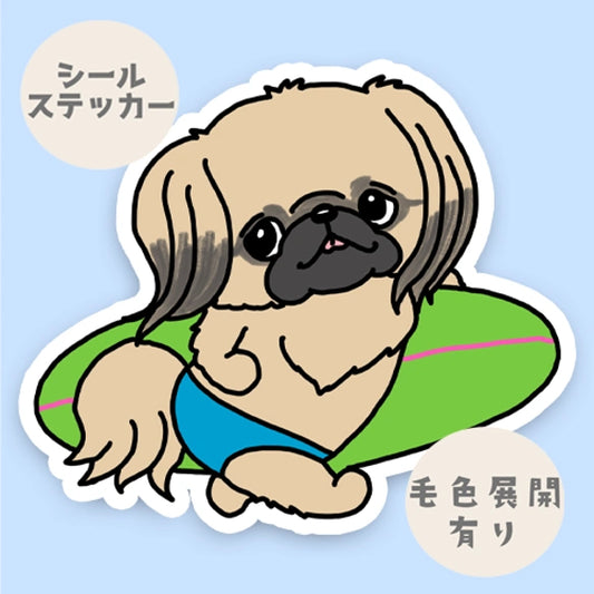 サーファーペキニーズちゃん。97-