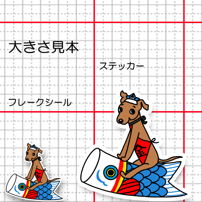端午の節句のイタグレちゃん。9-