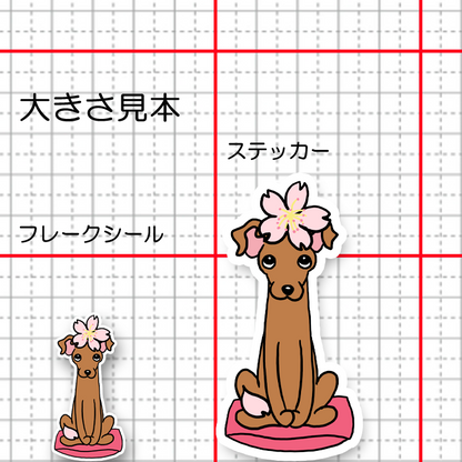 イタグレちゃんの春のご挨拶。9-