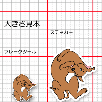 へそ天のイタグレちゃん。9-