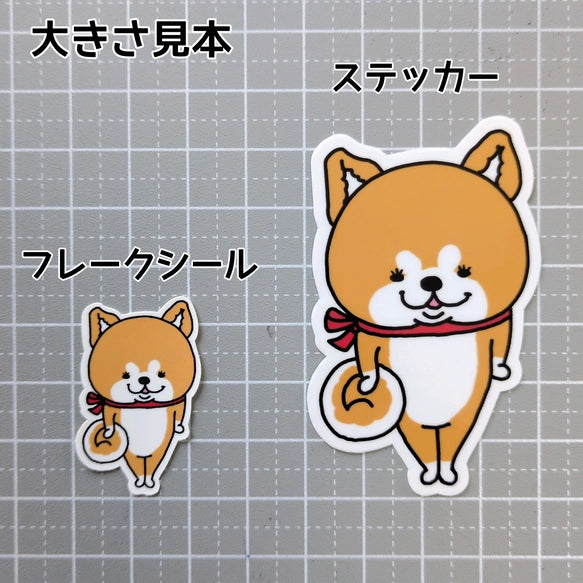 かわいいアキタイヌちゃん。3-3