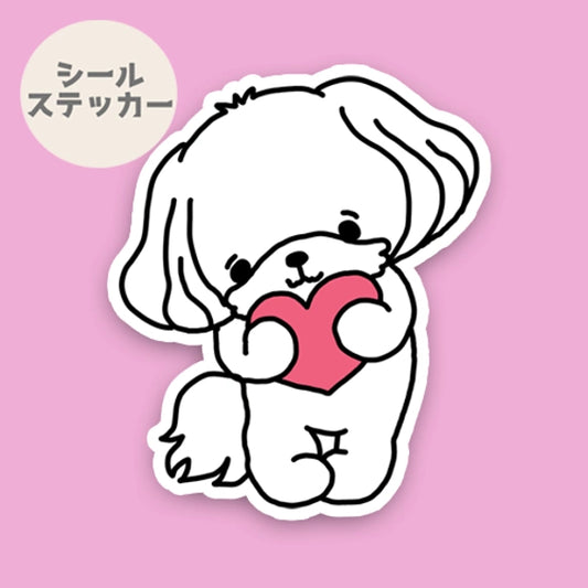 気持ちを伝えたいマルチーズちゃん。109-