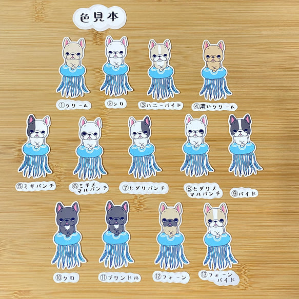 クラゲに乗ってみたいフレブルちゃん。96−24
