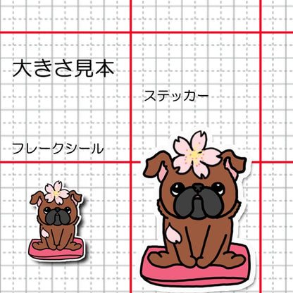 プチブラちゃんの春のご挨拶。86-