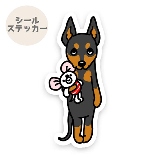 おりこうさんでお留守番してるトイマンチェスターテリアちゃん。67-1