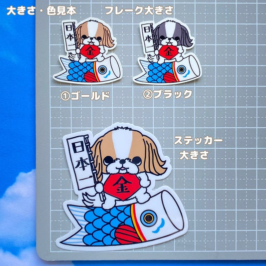 シーズーちゃんの端午の節句。35-13