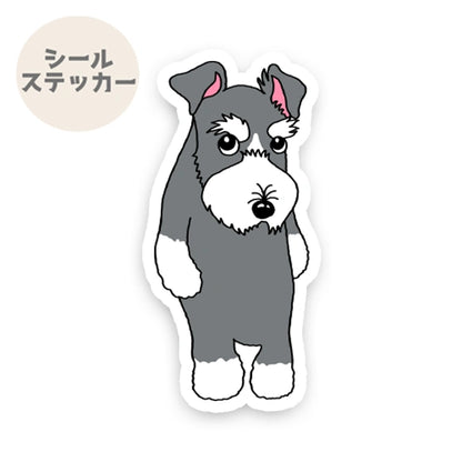 おすましシュナウザーちゃん。44-28