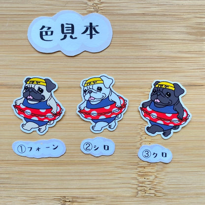 プールに来たパグちゃん。76-