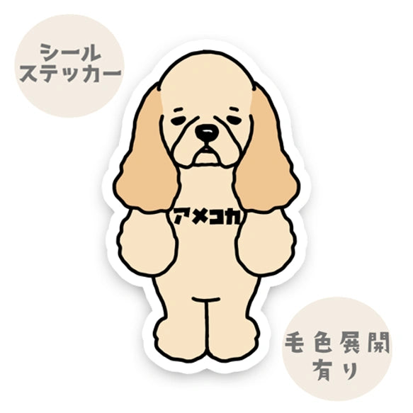 アメコカ。5-1