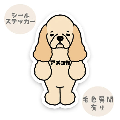アメコカ。5-1