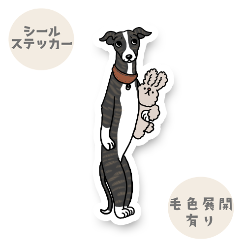 おりこうさんで待ってたウィペットちゃん。13-4
