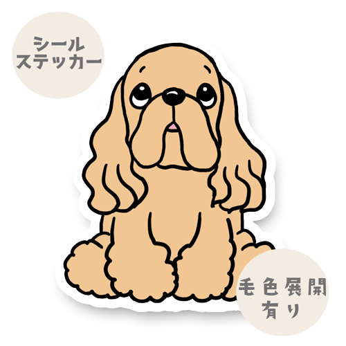 おすわりしてるアメコカちゃん。5-3