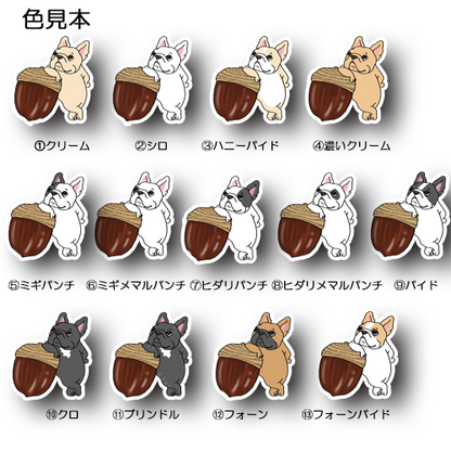 いいドングリ見つけたフレブルちゃん。96−14