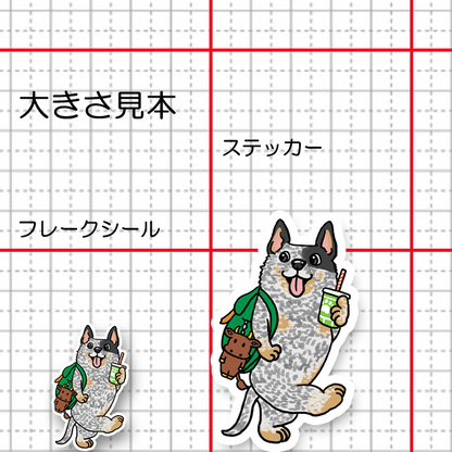 おでかけオーストラリアンキャトルドッグちゃん。19-3