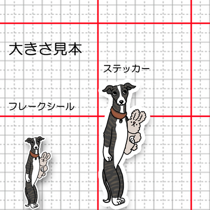 おりこうさんで待ってたウィペットちゃん。13-4